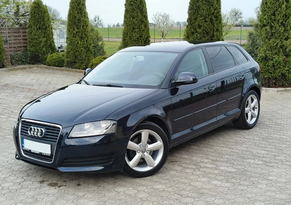 Audi A3 cena 22999 przebieg: 263000, rok produkcji 2008 z Gozdnica małe 529